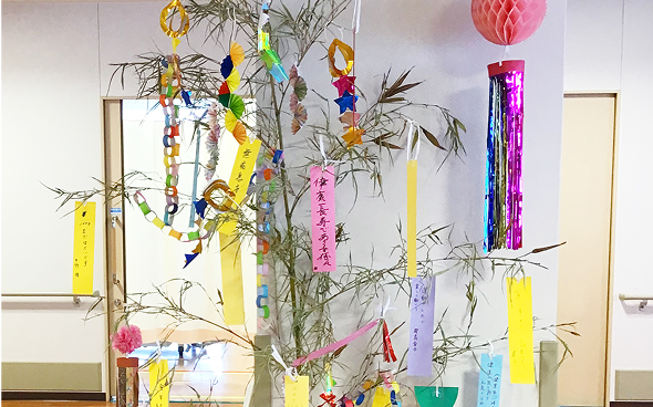 gallery5
